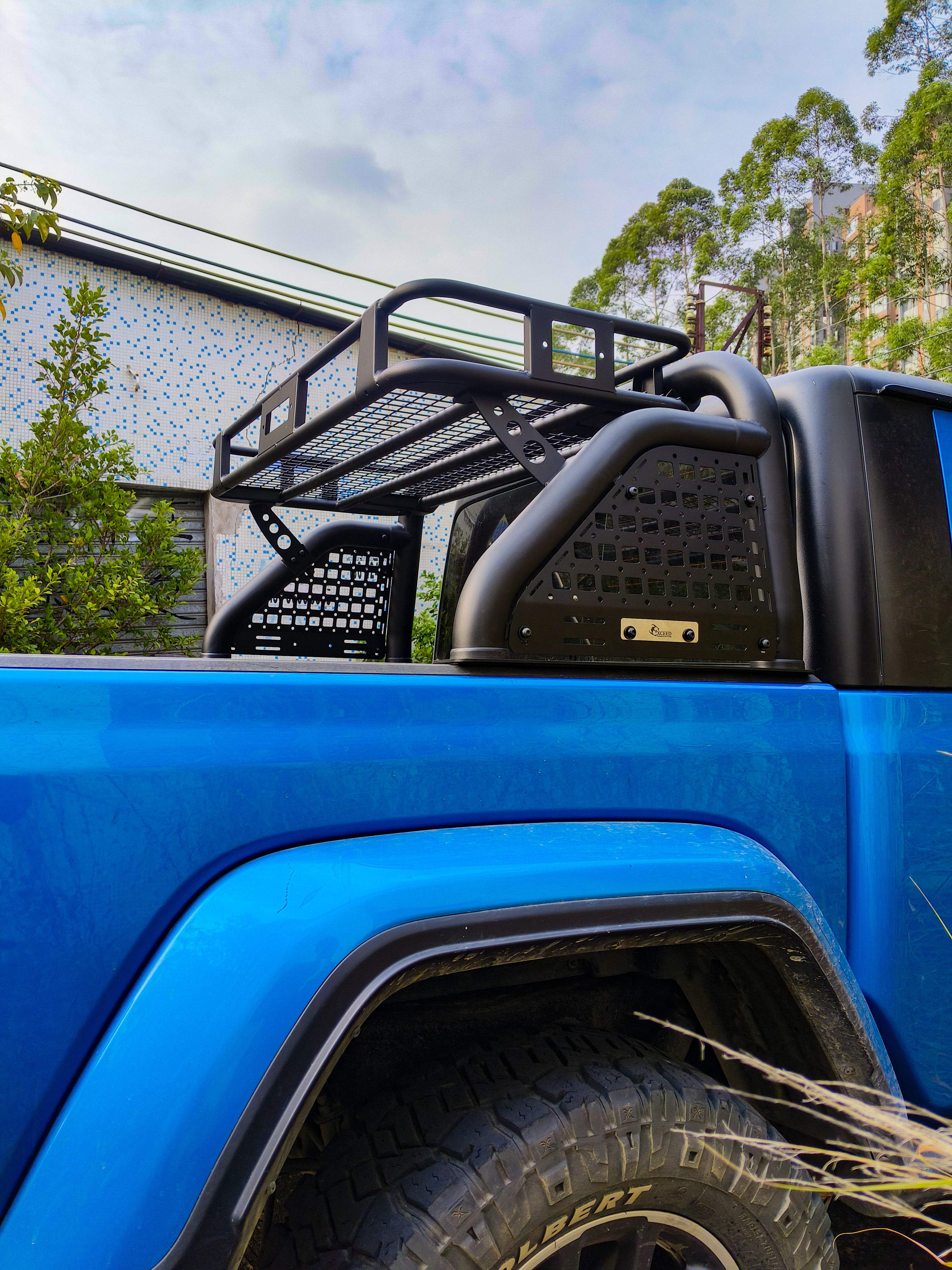 Roll Bar with Cargo Basket