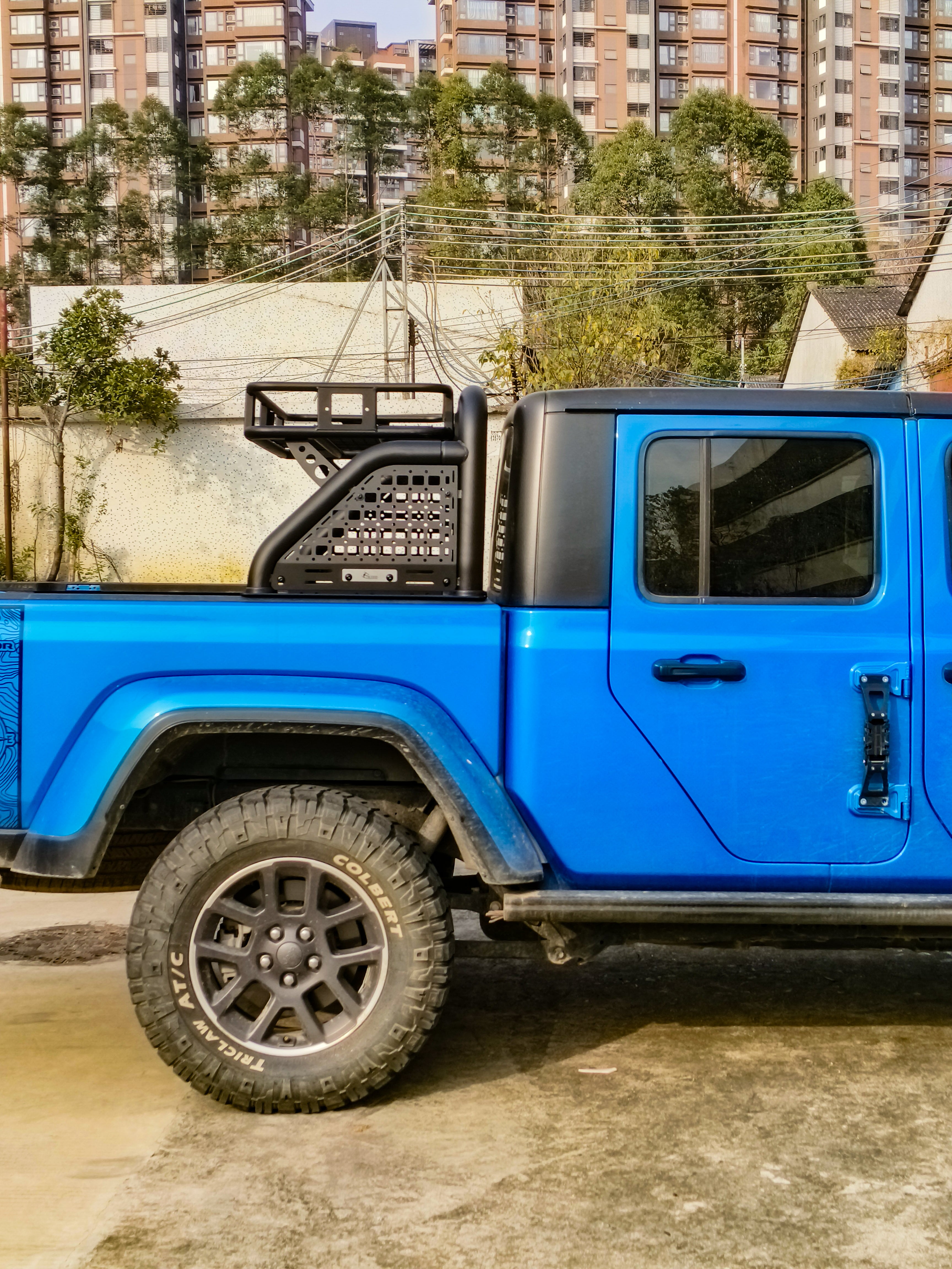 Roll Bar with Cargo Basket